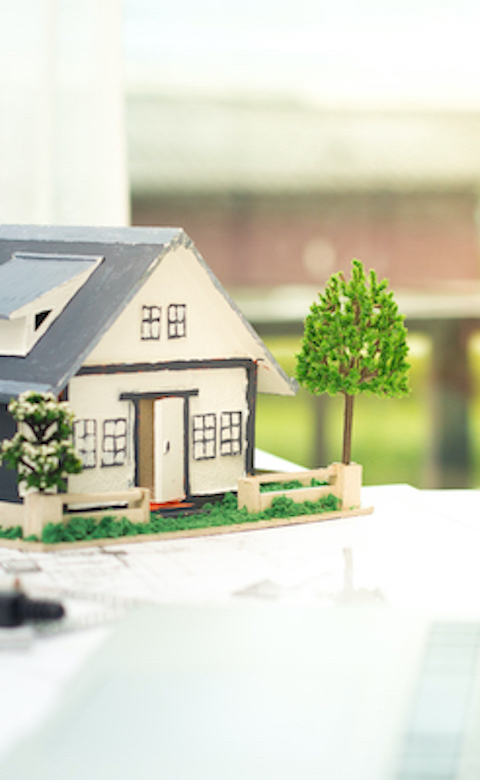 Maison verte en construction